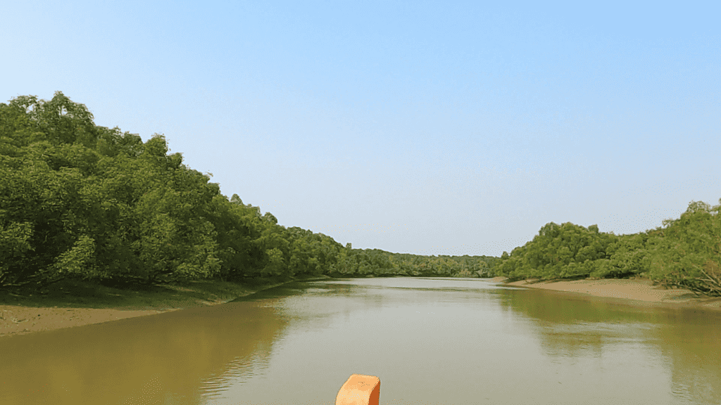 Boat-ride in Bhitarkanika Park