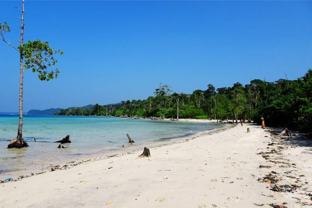 havelock island - Andaman and Nicobar islands