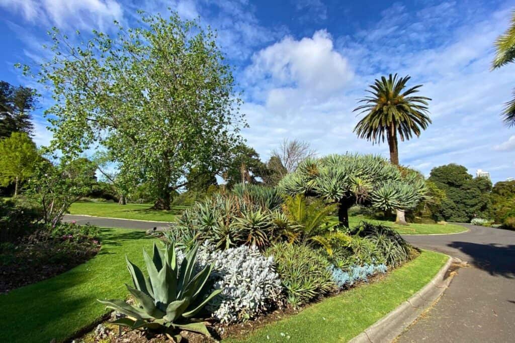 Royal botanic gardens - places to visit in Australia 